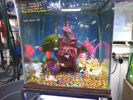 Pet Store «Valley Pets», reviews and photos, 6380 US-85, Fountain, CO 80817, USA