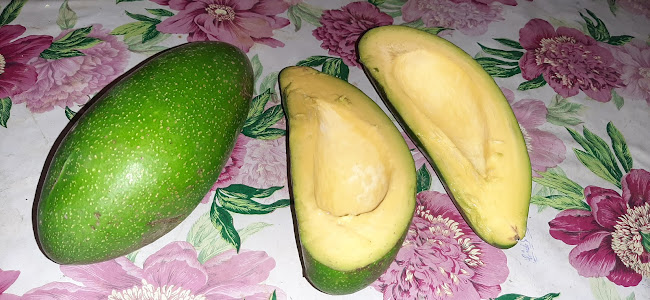 Opinii despre El Aguacate în El Carmen - Camping