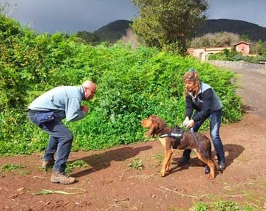 guarderia canina el jardin de tu mascota los corrales 31, 35330 Teror, España