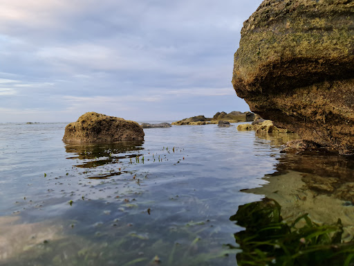 Top 20 cửa hàng akemi Huyện Lý Sơn Quảng Ngãi 2022