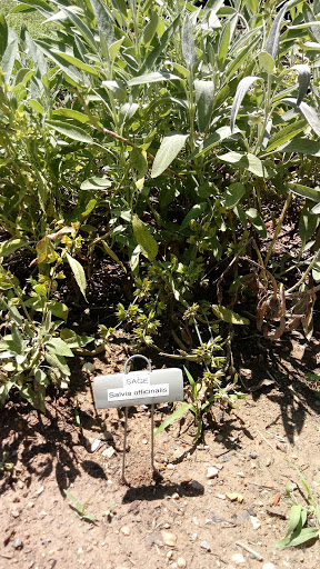 Historical Place «Sully Historic Site», reviews and photos, 3650 Historic Sully Way, Chantilly, VA 20151, USA