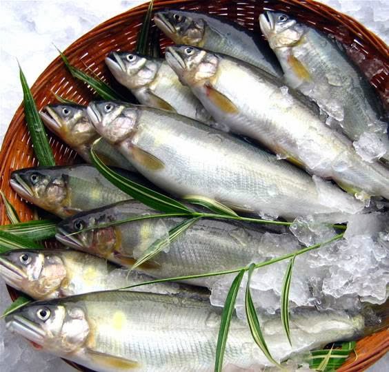 愛知川養殖漁業生産組合