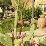 Photo n°6 de l'avis de Kate. fait le 30/12/2022 à 09:59 sur le  Hotel della Valle à Agrigento