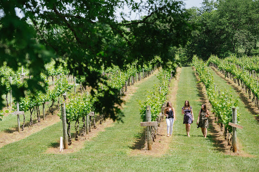 Winery «Wisdom Oak Winery», reviews and photos, 3613 Walnut Branch Ln, North Garden, VA 22959, USA