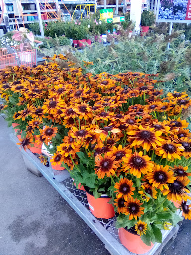 Home Improvement Store «The Home Depot», reviews and photos, 785 New York Ave, Huntington, NY 11743, USA