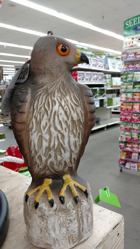 Department Store «Rural King», reviews and photos, 1416 Hamilton Richmond Rd, Hamilton, OH 45013, USA