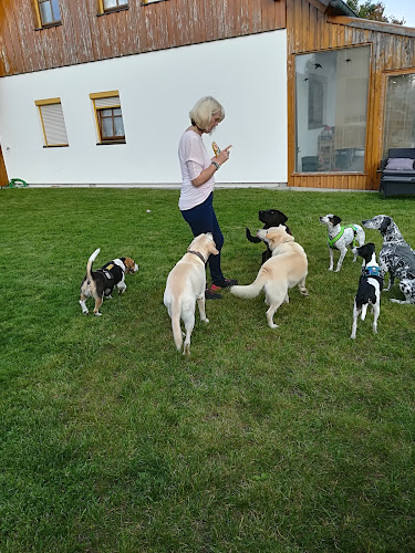 Toms mobile Hundeschule Cham