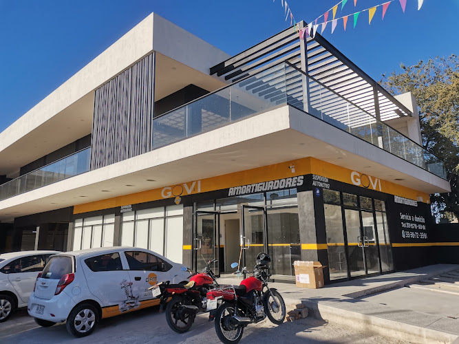 Govi Refaccionaria Suspensión Automotriz