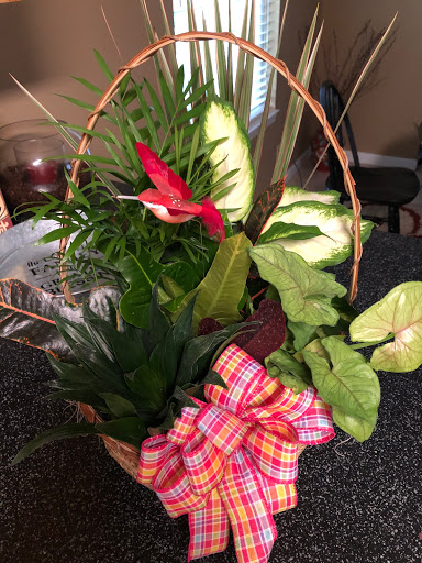 Florist «Brunswick Floral», reviews and photos, 3701 Ross Rd, Brunswick, GA 31520, USA