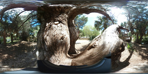 Park «Wall Springs Park», reviews and photos, 3725 Desoto Blvd, Palm Harbor, FL 34683, USA