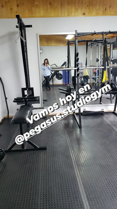 Pegasus Studio Gym