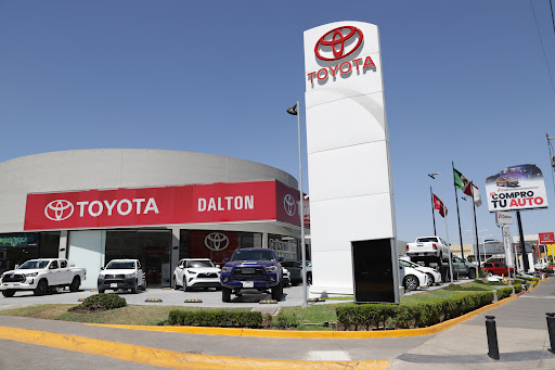 Dalton Toyota López Mateos