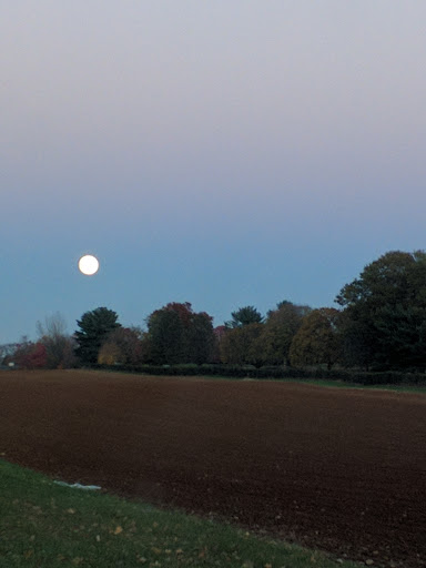 Golf Course «Hominy Hill Golf Course», reviews and photos, 92 Mercer Rd, Colts Neck, NJ 07722, USA