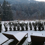 Photo n°3 de l'avis de packy.e fait le 14/12/2023 à 20:10 sur le  Bonfanti Design Hotel à St. Sigmund