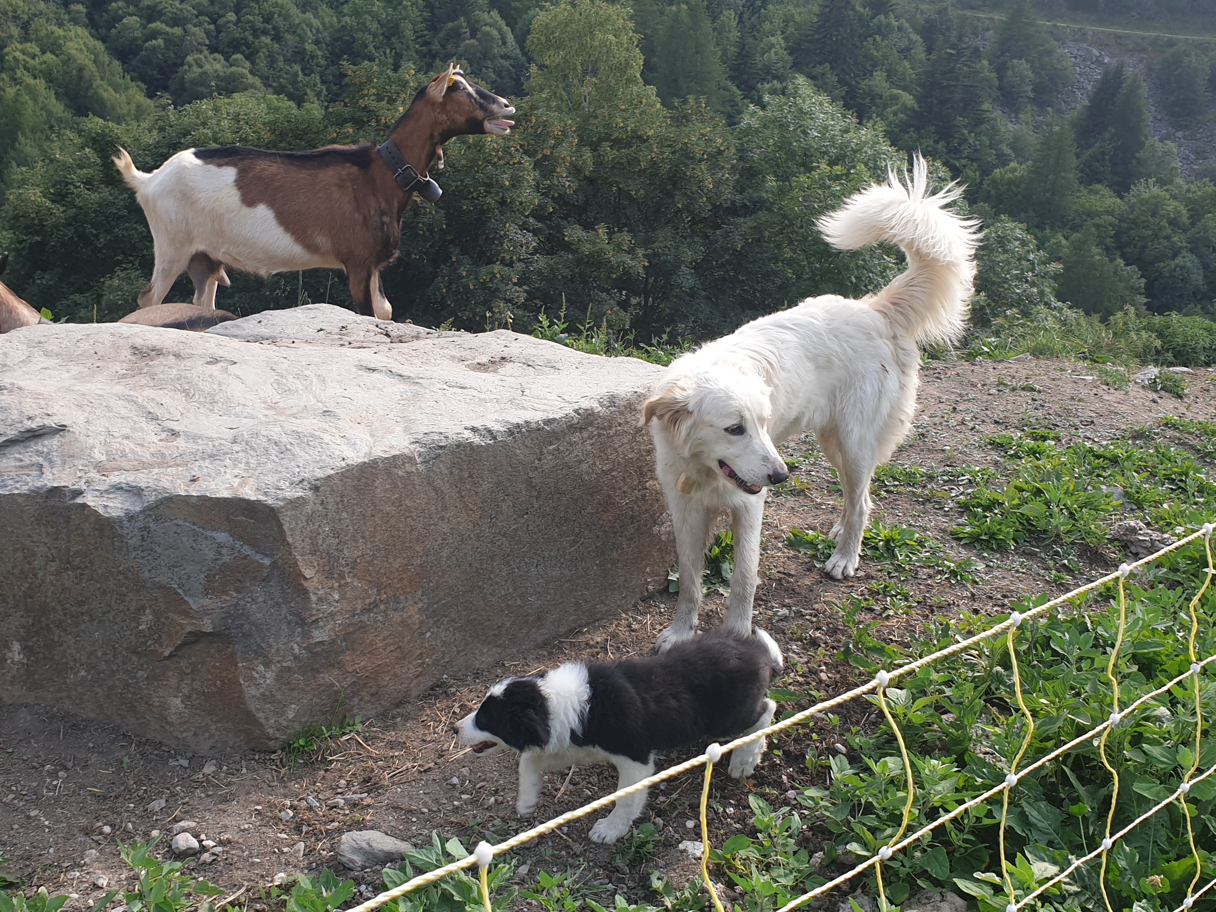 Photo n° 1 de l'avis de Lou.o fait le 22/08/2021 à 07:49