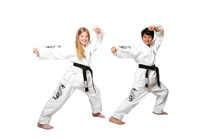 Karate 4 Excellence image