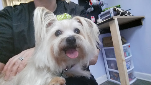 Pet Groomer «Barking Beauties pet Boutique», reviews and photos, 112 E 2nd St S, Newton, IA 50208, USA