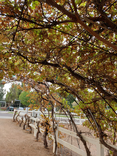 Coffee Shop «The Coffee Shop», reviews and photos, 3000 E Ray Rd, Gilbert, AZ 85296, USA