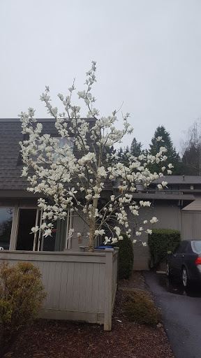 Movie Theater «Patriot Cinemas - Hanover Mall», reviews and photos, 1775 Washington St, Hanover, MA 02339, USA