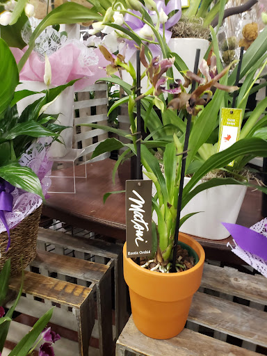 Grocery Store «Vons», reviews and photos, 550 E Baseline Rd, Claremont, CA 91711, USA