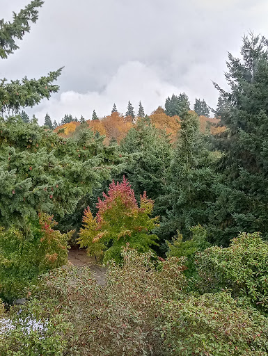 Hardware Store «Harbor Freight Tools», reviews and photos, 22111 WA-99, Edmonds, WA 98026, USA