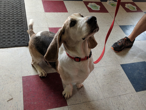 2265 Frankfort Ave, Louisville, KY 40206, USA