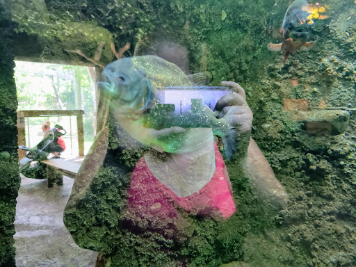 Zoo «Mesker Park Zoo», reviews and photos, 1545 Mesker Park Dr, Evansville, IN 47720, USA