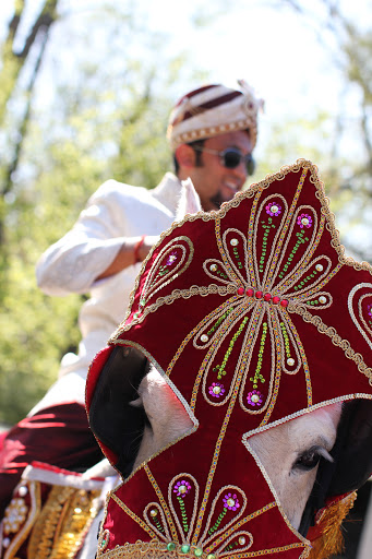 Event Planner «Golden Poppy Events», reviews and photos, 3504 Blossom Ln, Redondo Beach, CA 90278, USA