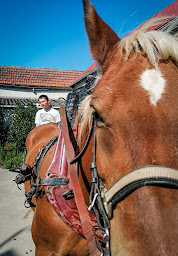 Photo n°17 de Médiation animale de la Gazelle à Gironville ()