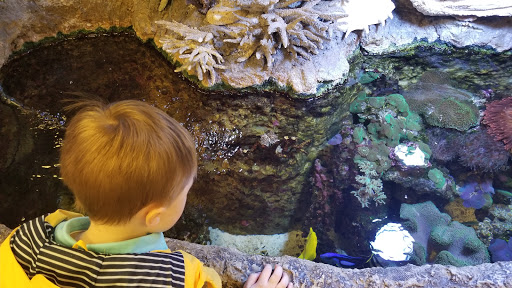 Pet Store «Ark Pet Shop», reviews and photos, 2400 W Lincoln Hwy, Merrillville, IN 46410, USA