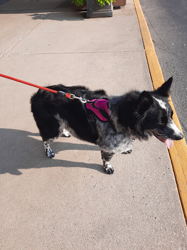 Pet Supply Store «Petco Animal Supplies», reviews and photos, 4950 S 76th St, Greenfield, WI 53220, USA