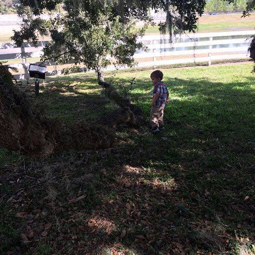 Event Venue «Highland Manor», reviews and photos, 604 E Main St, Apopka, FL 32703, USA