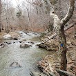 New Hope Creek Trail North