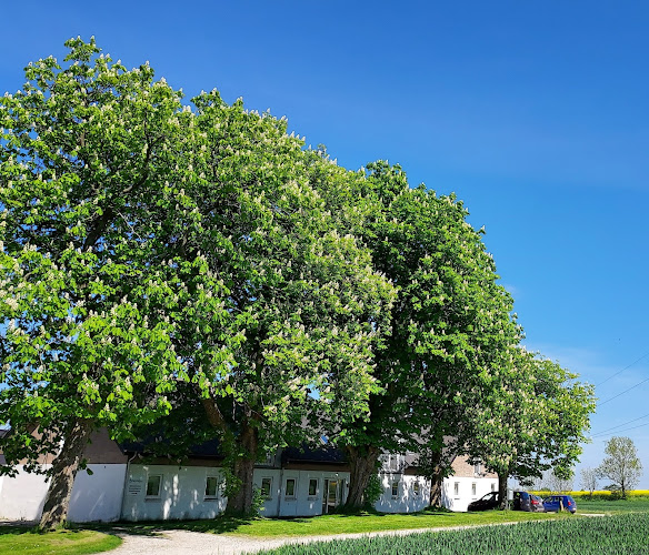 Balle Skovvej 3, 8541 Skødstrup, Danmark