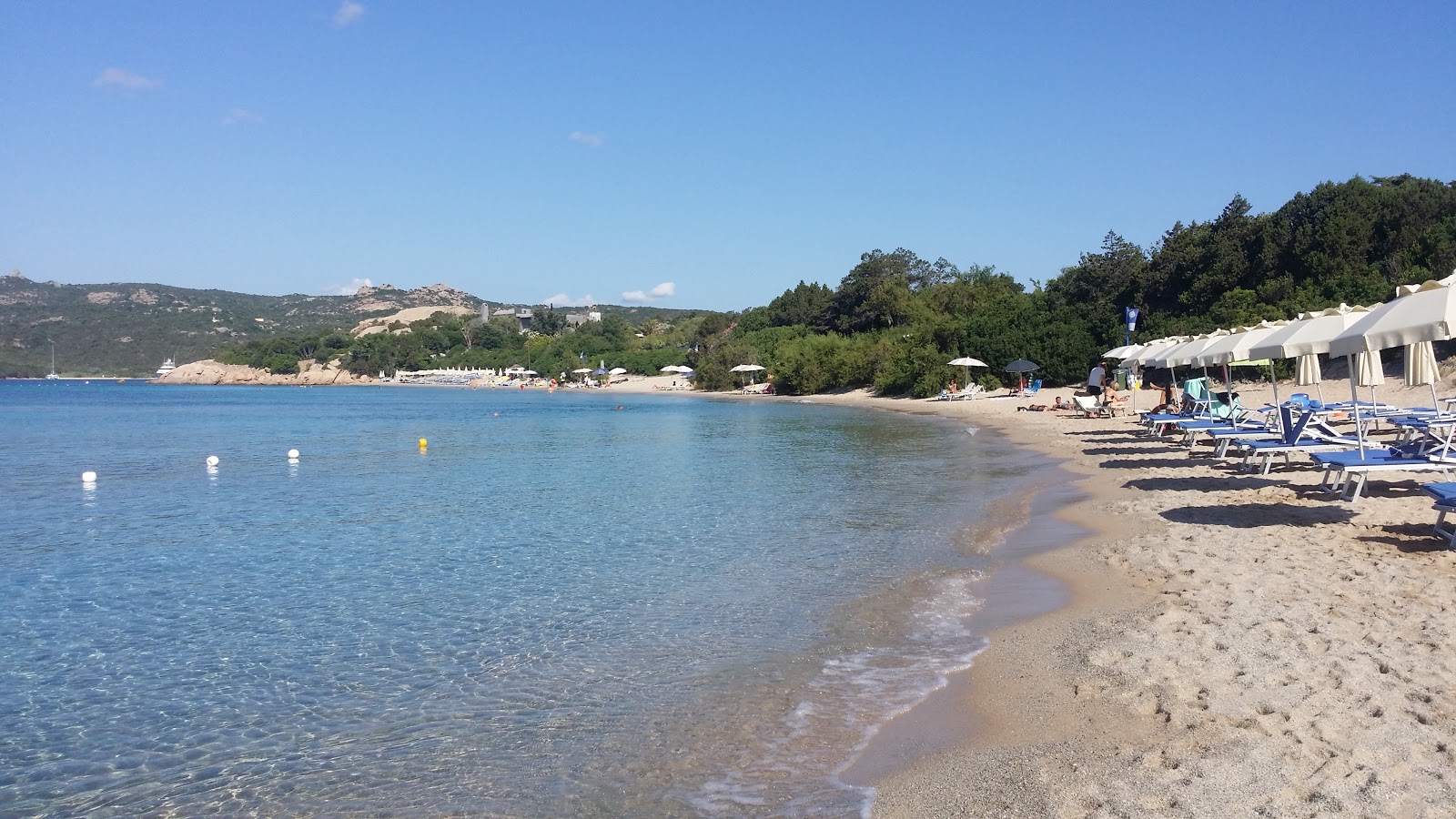 Foto de Spiaggia La Celvia - lugar popular entre os apreciadores de relaxamento