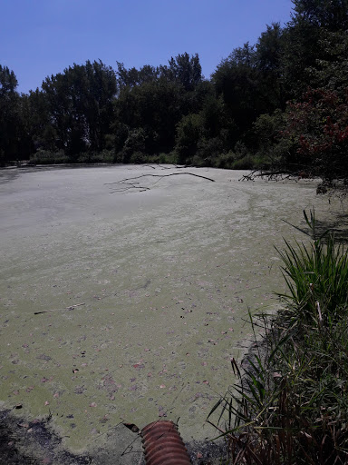 Nature Preserve «Hawthorne Hill Nature Center», reviews and photos, 28 Brookside Dr, Elgin, IL 60123, USA