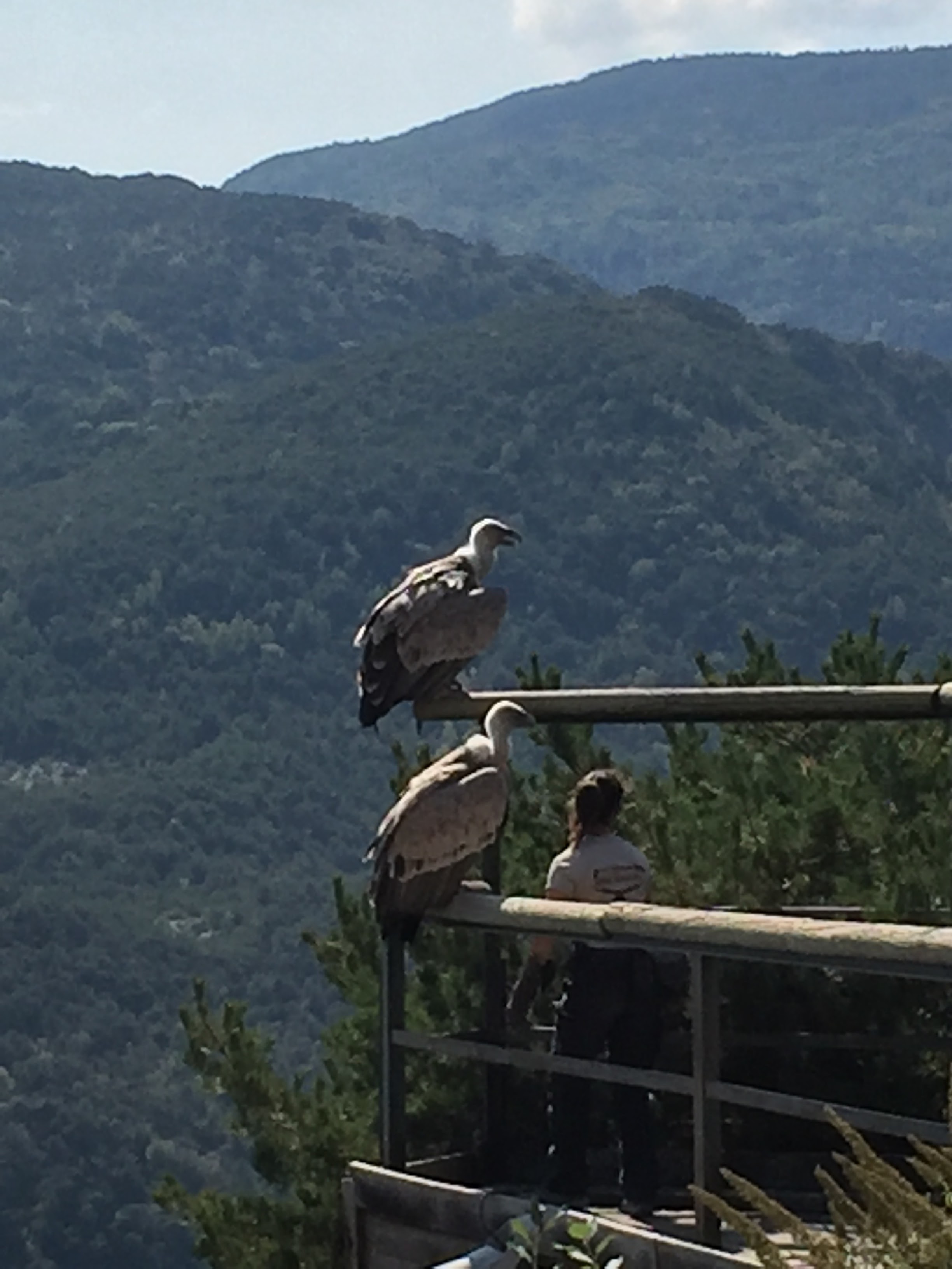 Photo n° 4 de l'avis de patrice.i fait le 15/09/2020 à 19:57
