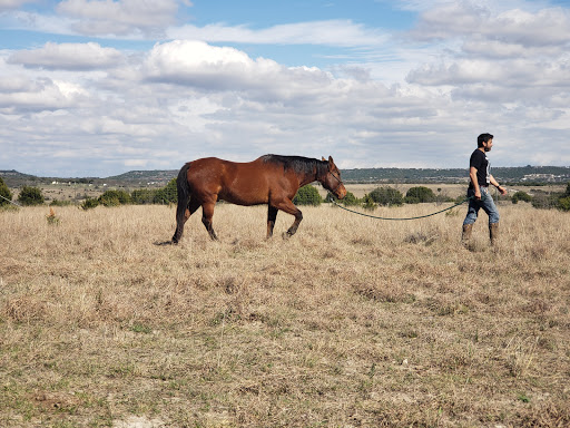 Black Ranch Horse Retreat and Boarding Facility