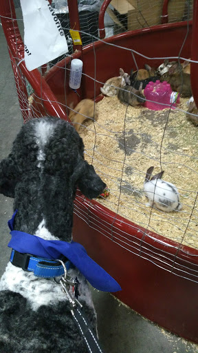 Department Store «Rural King», reviews and photos, 801 Cr-1510-10, Owensboro, KY 42303, USA