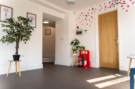 Rory Holliday Physiotherapy - Rory Holliday Physiotherapy