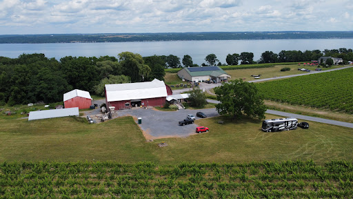 Winery «Cayuga Ridge Estate Winery», reviews and photos, 6800 NY-89, Ovid, NY 14521, USA