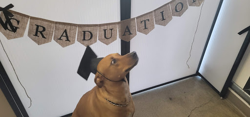 Pet Supply Store «Unleashed by Petco», reviews and photos, 600 Redondo Ave, Long Beach, CA 90814, USA