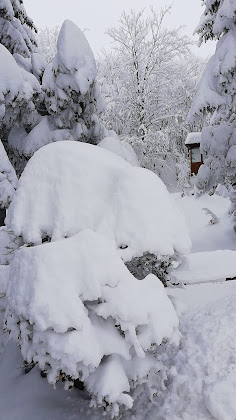 Vidéos hôtels Albergo Ristorante La Tigella 41020 Cento Croci