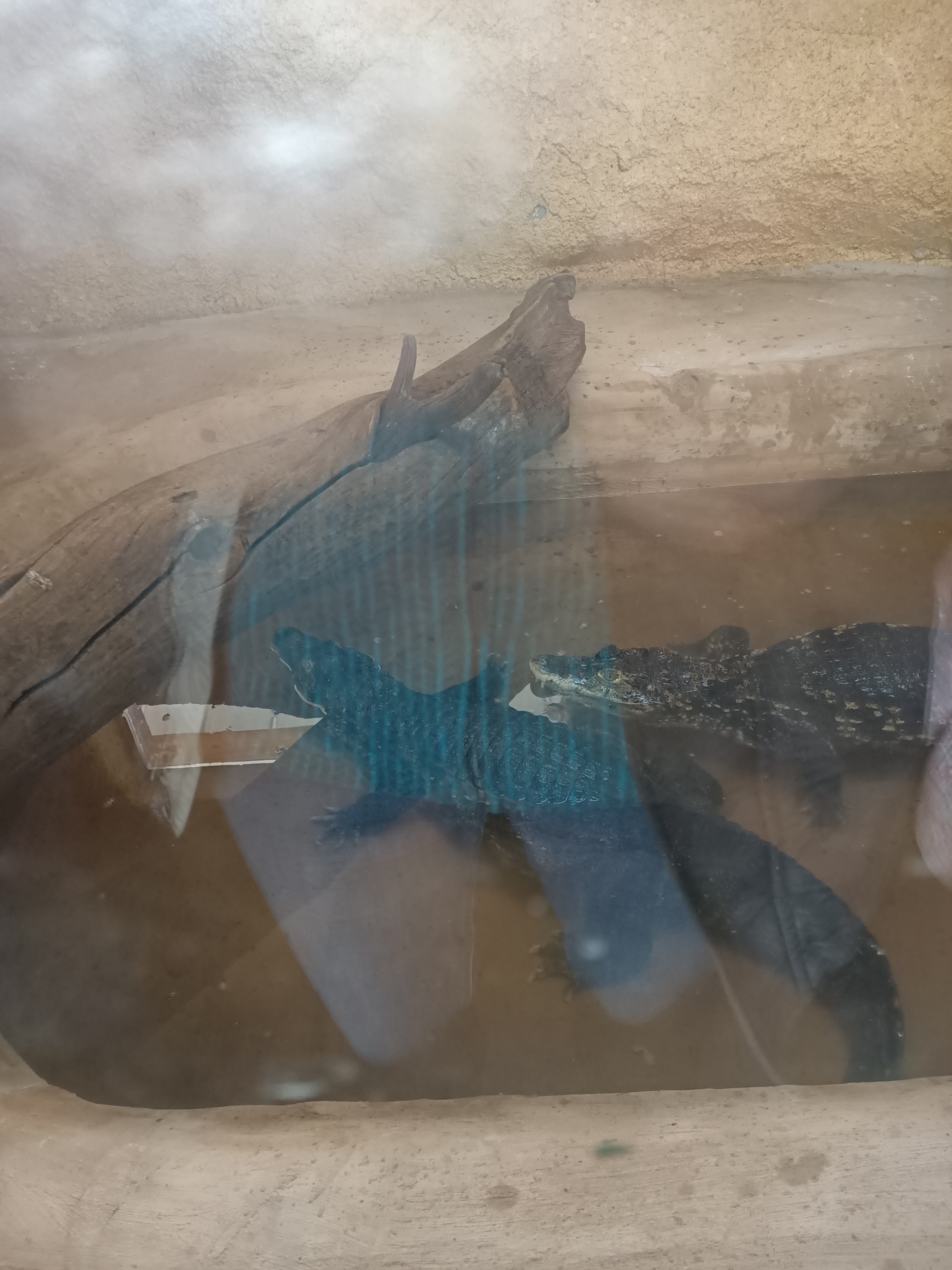 Photo n° 22 de l'avis de Dufau.a fait le 21/02/2024 à 14:51