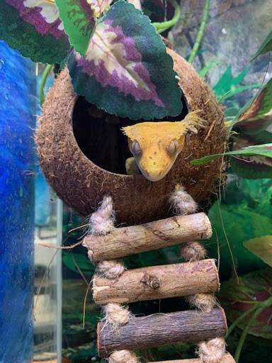 Pet Store «Simply Pets», reviews and photos, 1977 S Military Hwy, Chesapeake, VA 23320, USA