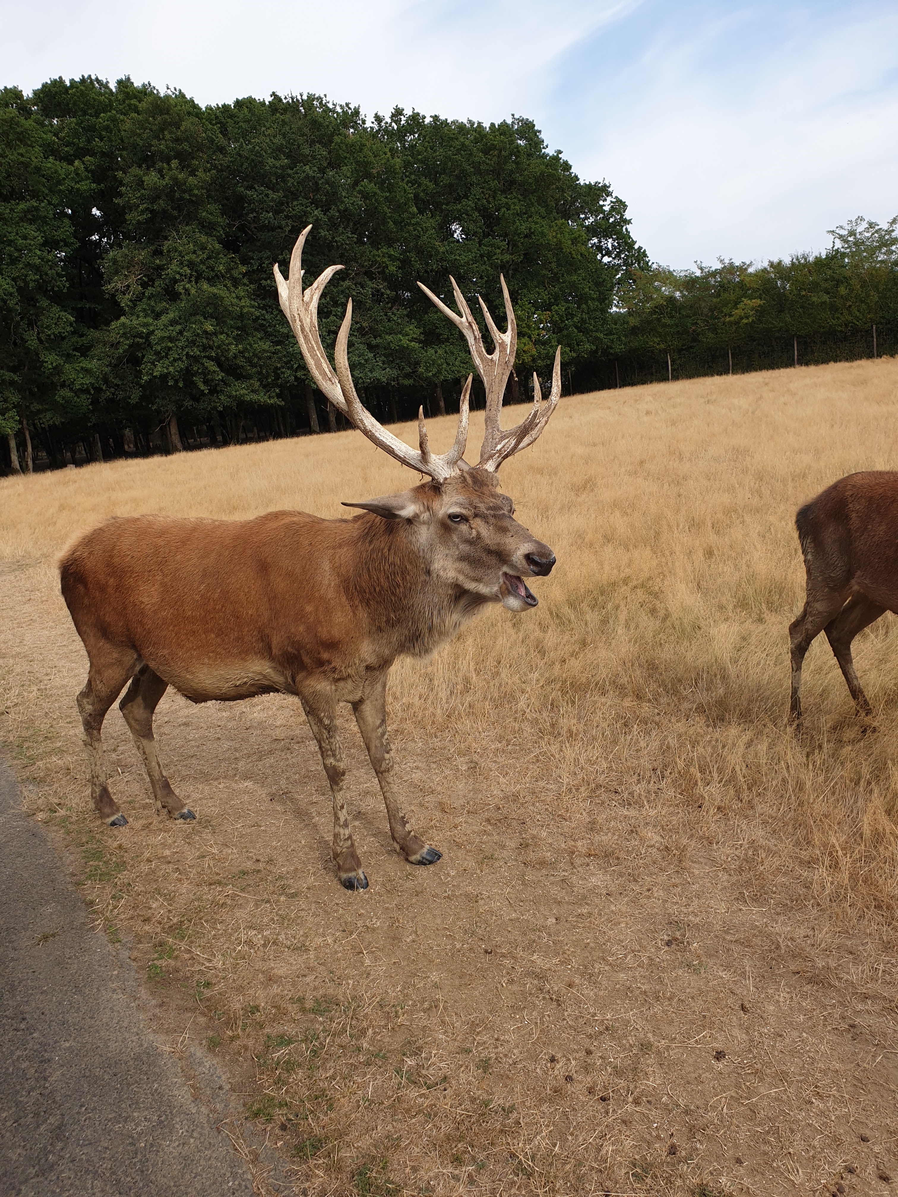 Photo n° 2 de l'avis de S.o fait le 14/08/2020 à 08:34