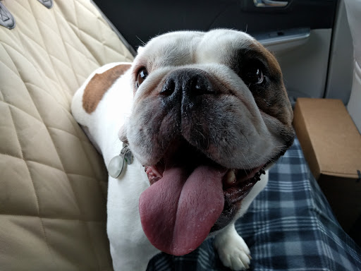 Pet Supply Store «Wally Pets», reviews and photos, 4411 Wallingford Ave N, Seattle, WA 98103, USA