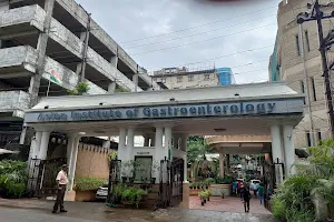 Asian Institute of Gastroenterology image