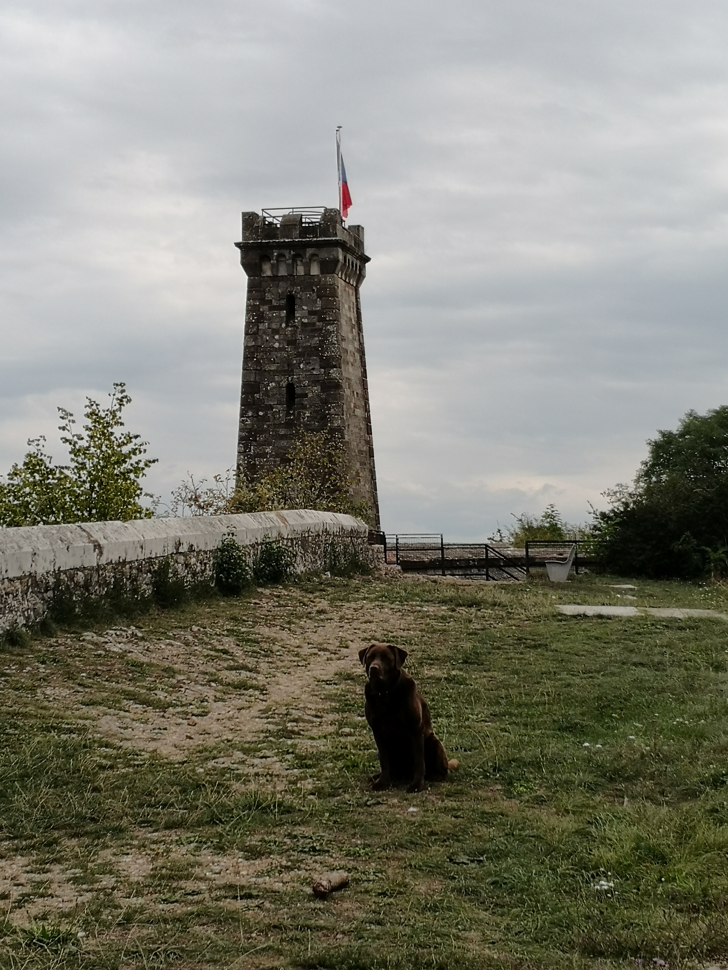 Photo n° 1 de l'avis de Harald.� fait le 04/09/2019 à 15:41