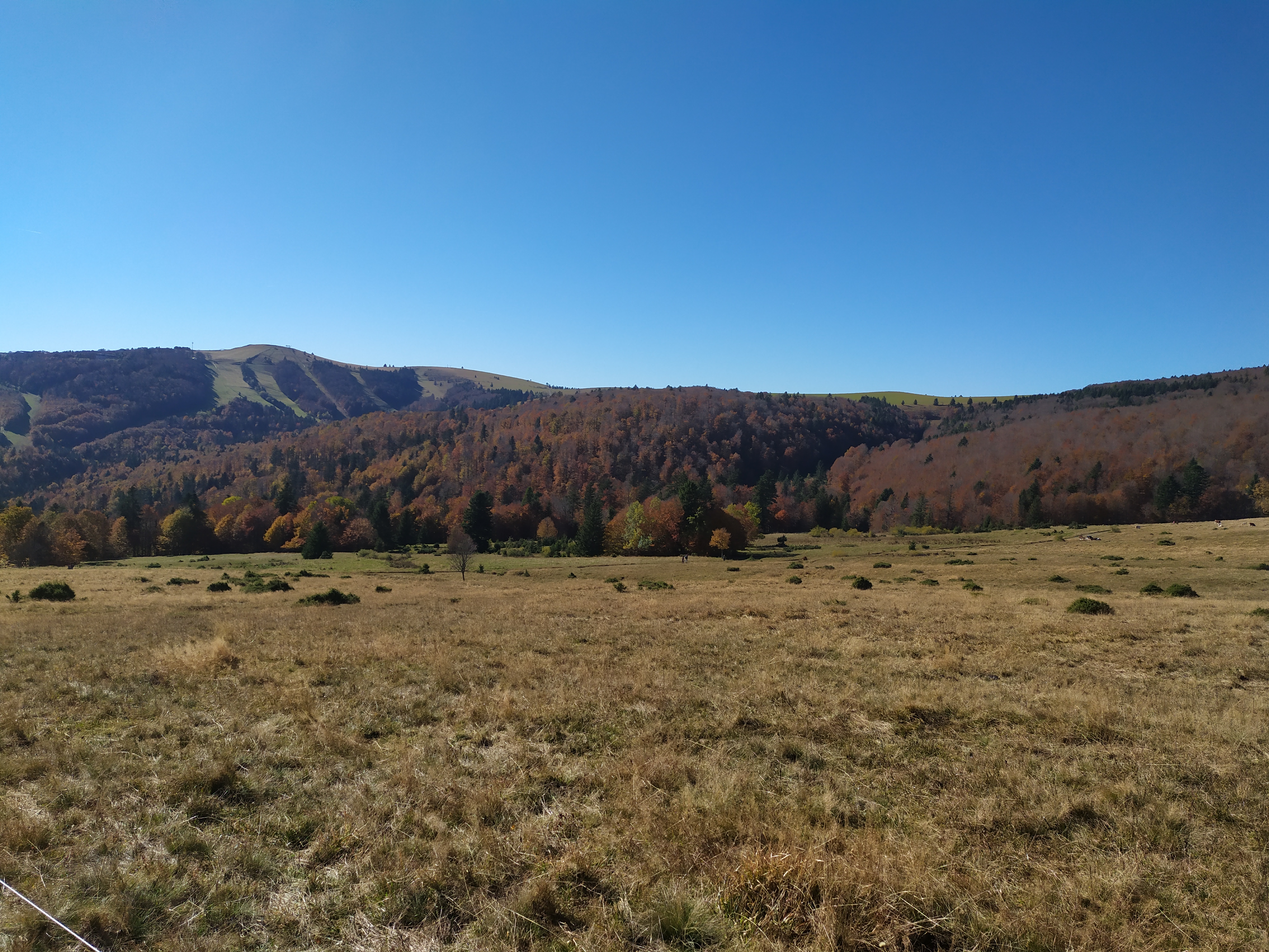 Photo n° 3 de l'avis de Eric.o fait le 07/11/2021 à 14:17